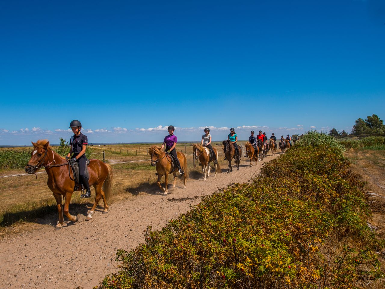 Rømø und Sylt - Nordsee und Wattenmeerurlaub