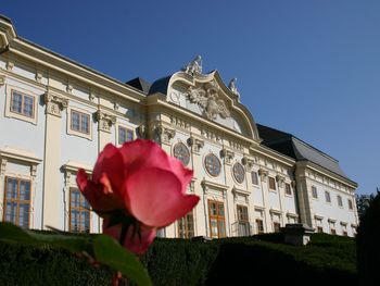 Wohnen im Schloss Halbturn - 3 Tage mit HP