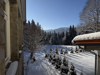 Sonderangebot 3 Tage - Winterwonderland am Arber