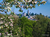 Opel-Zoo Tickets mit Hotel
