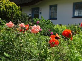 2 Tage in der jüngsten Stadt Rügens mit Frühstück