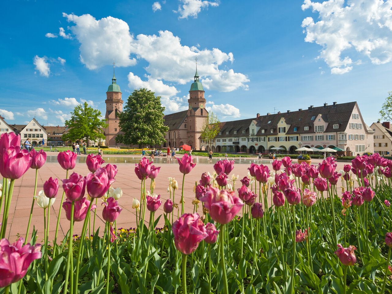 7 Schwabentage im Schwarzwald mit Wellness und HP