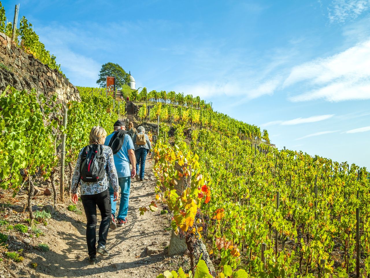 3 Tage Moselurlaub – Mit Sack & Pack ins Glück