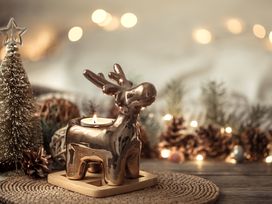 7 Tage besinnliche Weihnachten in Ilmenau