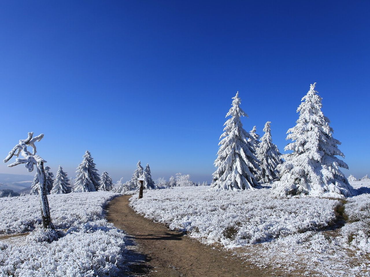 3 Sport-Entdecker-Tage Winterberg und Willingen