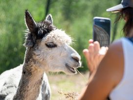 Serengeti Park Hodenhagen mit Hotel