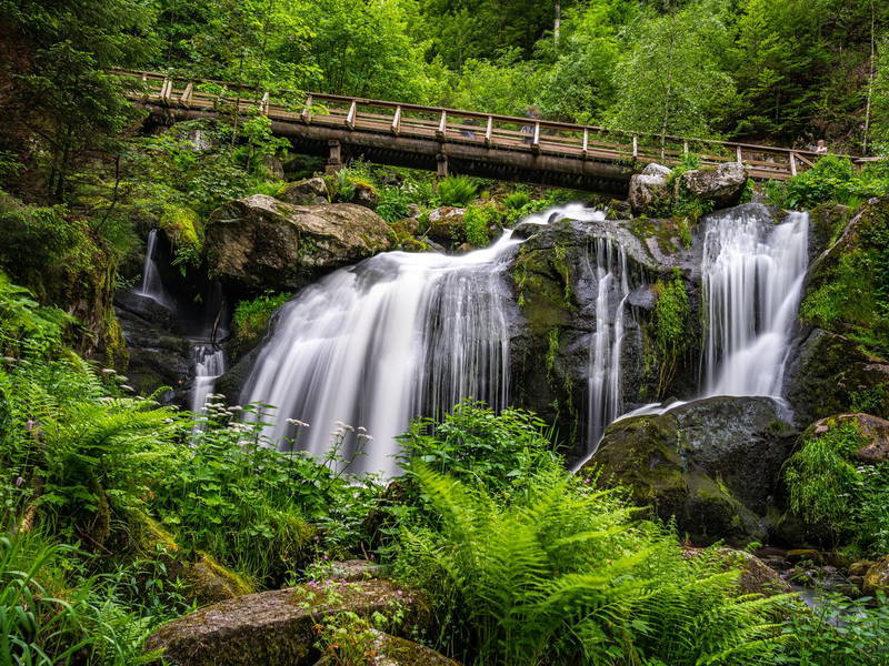 Entspannung PUR -8 Tage Bad Dürrheim & SOLEMAR Therme