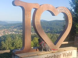 Aktiv-Woche im Bayerischen Wald für Alle!