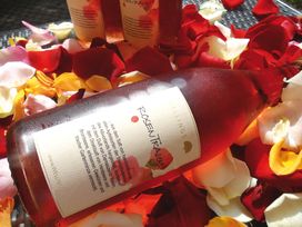 Sommerzeit 4 Tage ARRSSW