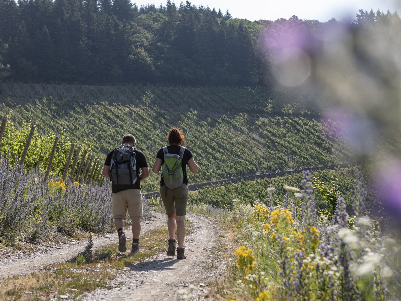 Kleine Auszeit an der Saar nahe der Mosel