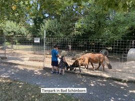 Kurztrip ins Palmenparadies - 3 Tage