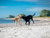 Ostseeurlaub mit Spaßfaktor - 2 Tage mit Frühstück