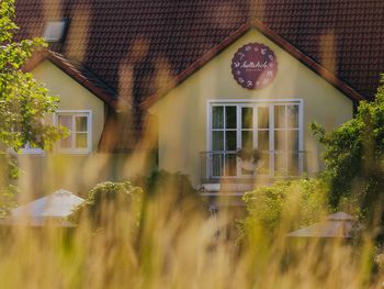 Oberpfalz: Naturerlebnis mit Vesper & private SPA