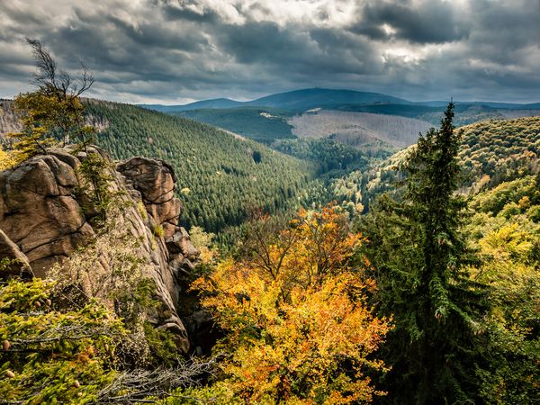 6 Tage im CAREA Residenz Hotel Harzhöhe mit AI in Goslar OT Hahnenklee, Niedersachsen inkl. All Inclusive
