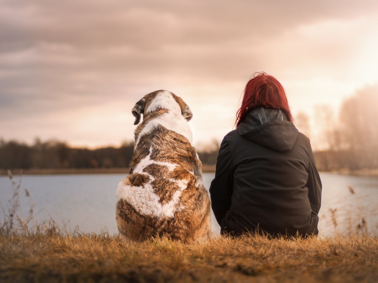 3 Tage Urlaub mit Hund