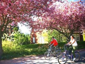Erholungspaket - 2 Tage Dabel