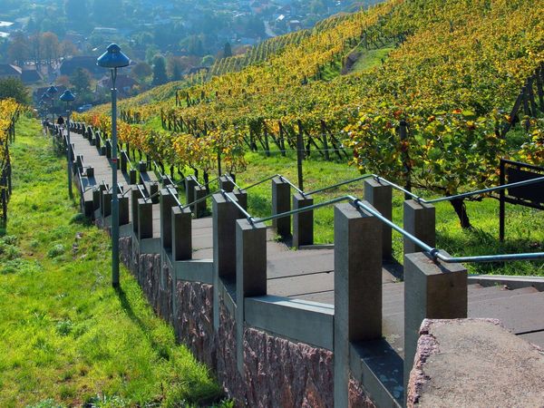 Wochenschnäppchen – kurz mal weg nach Meißen (3 Tage) Frühstück