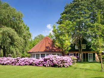 3 Tage Genussreise inmitten niederländischer Natur