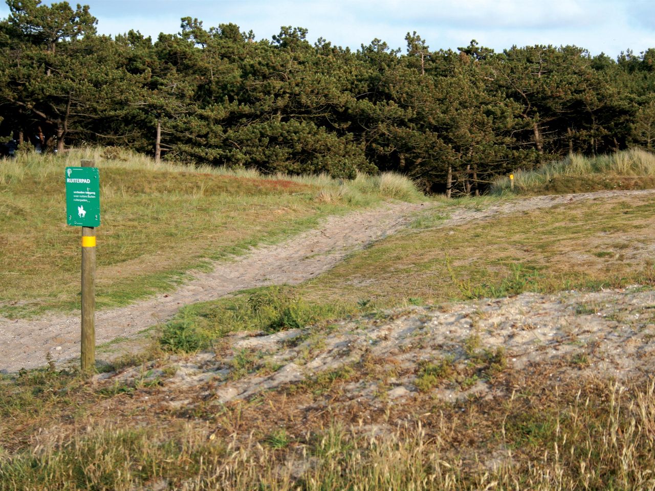 5 Tage Strandparadies Ameland Natur und endlose Weite