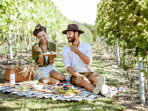 3 Tage Weingenuss in Franken mit Wanderung & Brotzeit in Schweinfurt Frühstück