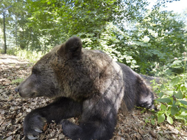 Zoo Schwerin mit Tageseintritt und Übernachtung