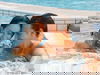 Erlebnis & Wellness-Oase Sachsen-Therme | 4 Tage