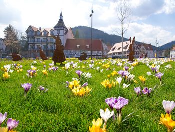 6 Tage Urlaub im Schwarzwald für Erholungssuchende