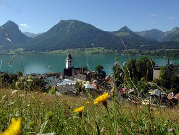 Bild 43 von 62