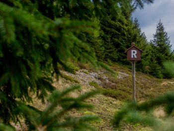 Genießen und Erleben - 5 Tage im Thüringer Wald