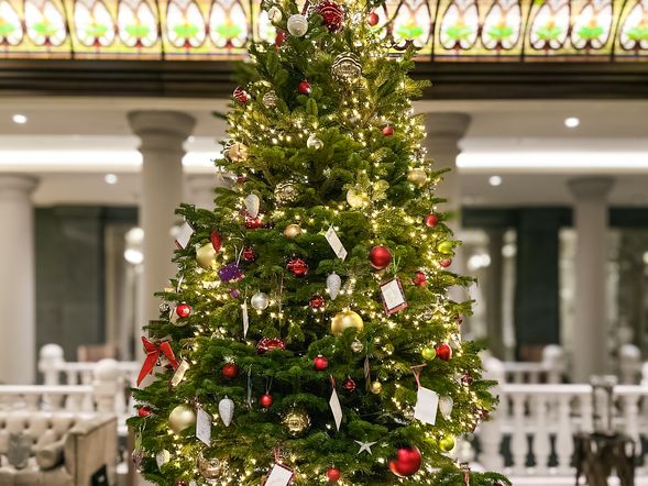 Weihnachten am schönsten Platz Berlins 4 Tage