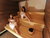 3 Tage Kurzurlaub mit Frühstück im The Ziba Hotel & Spa