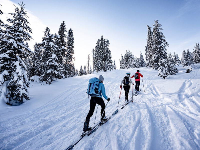 8 Tage Auszeit im malerischen Glemmtal & Halbpension