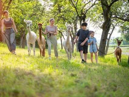 3 Tage Auszeit im Saarland mit Alpaka-Erlebnis
