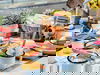 3 Tage Palmengarten Frankfurt Special