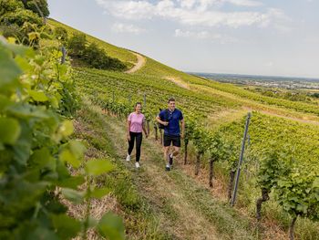 Wandern in 4 Jahreszeiten im Schwarzwald - 4 Tage