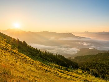 4 Tage Naturgenuss & Gartenruhe in Zell am See