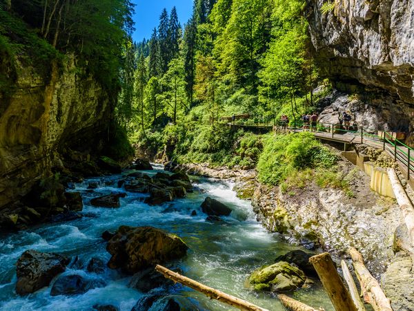 8 Tage Sommerurlaub am Fuße des Abergs – 7 Nächte in Maria Alm am Steinernen Meer, Salzburg inkl. Halbpension