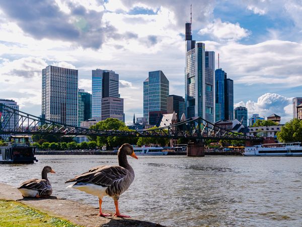 2 Tage Frankfurt erleben mit Genießerfrühstück in Frankfurt am Main Frühstück