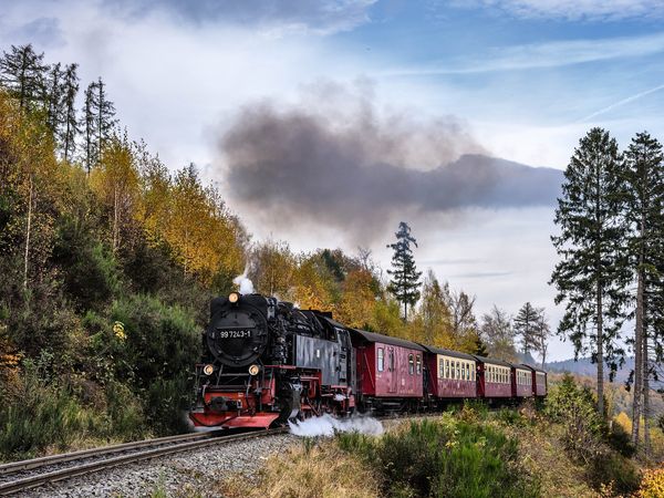 3 Tage Natur pur inkl. Bahnfahrt auf den Brocken in Oberharz am Brocken –  Sorge, Sachsen-Anhalt inkl. Halbpension