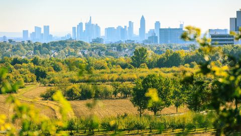 Grüne Umgebung mit Frankfurt in Sichtweite