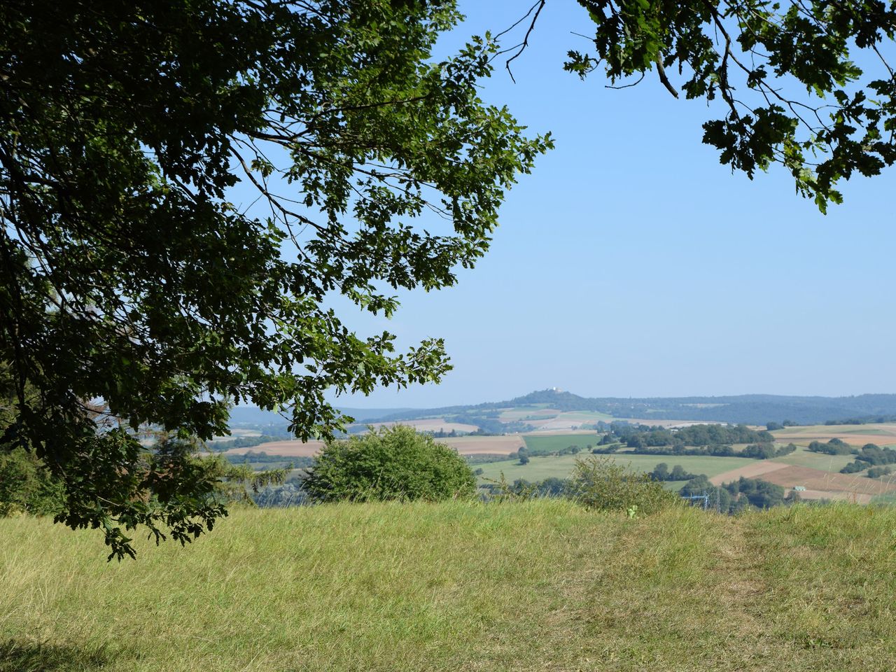 7 Tage Odenwald: Weinberge, Wellness & Candle-Light