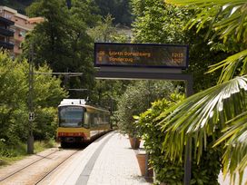 5 Tage und 4 Nächte - den Schwarzwald pur erleben