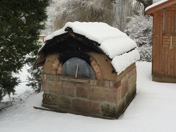 Wintererwachen im Wald