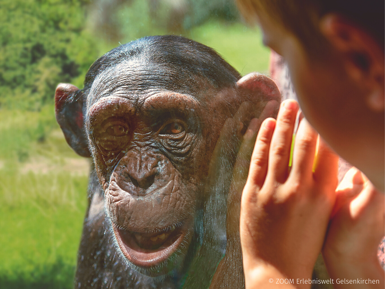 5 tierische Familientage im Heidelberger Zoo