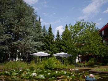 Reduktionskost in der Lüneburger Heide