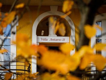 3 Nächte Swinemünde – Erholung in der Villa Antares