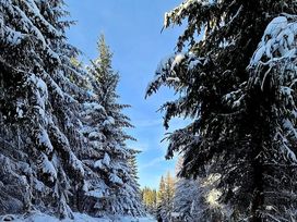 Einfach raus in die Berge – Ihre Auszeit im Riesengebirge