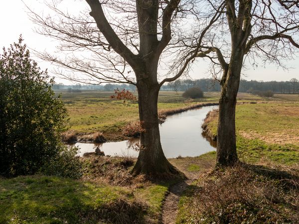 5 Tage Wellness & Naturidylle im Drentsche Aa Park in Zeegse Halbpension