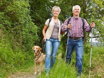 4 Pfoten Spezial im wanderbaren Sauerland