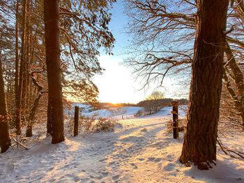 Romantische Auszeit zu Zweit im Bayerischen Wald